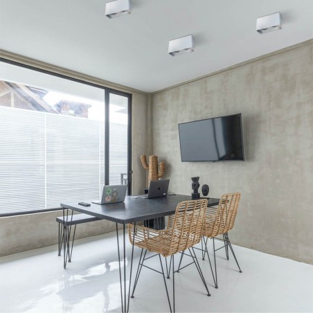 Spot de plafond Classic Blanc (2 lumières)
