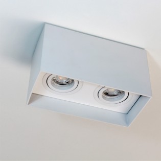 Spot de plafond Classic Blanc (2 lumières)