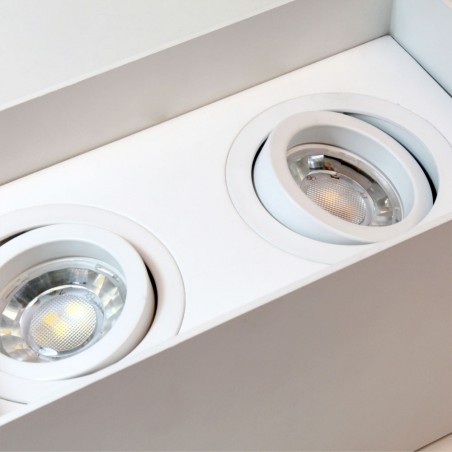Spot de plafond Classic Blanc (2 lumières)