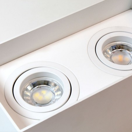 Spot de plafond Classic Blanc (2 lumières)