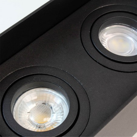 Spot de plafond Classic Noir (2 lumières)