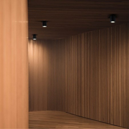 Spot de plafond Basic Noir