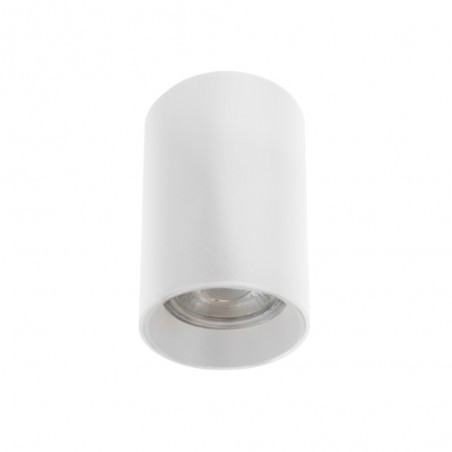 Spot de plafond Basic II Blanc