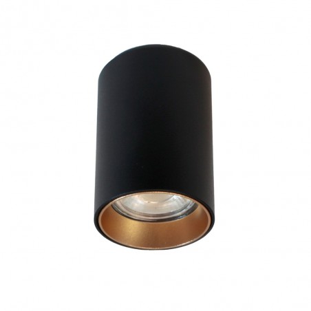 Spot de plafond Basic II Noir