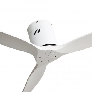 Ventilador de techo Aguilon