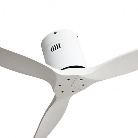 Ventilador de techo Aguilon