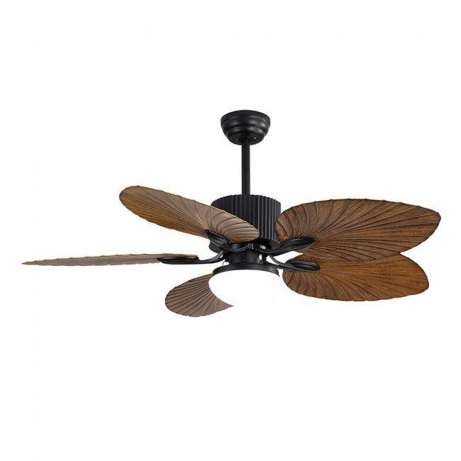 Ventilador de techo Led Colla (24W) Ventilador de techo Led Colla (24W)