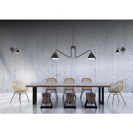 Lampe de plafond Porter (2 lumieres)