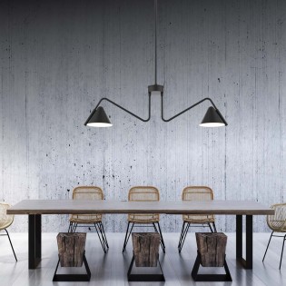 Lampe de plafond Porter (2 lumieres)
