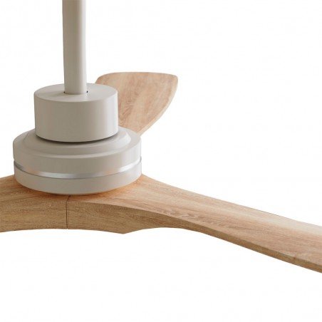 Ventilateur de plafond extérieur Nati