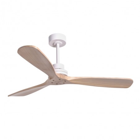 Ventilateur de plafond extérieur Nati