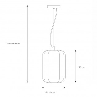 Lampe de plafond Fern