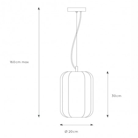 Lampe de plafond Fern